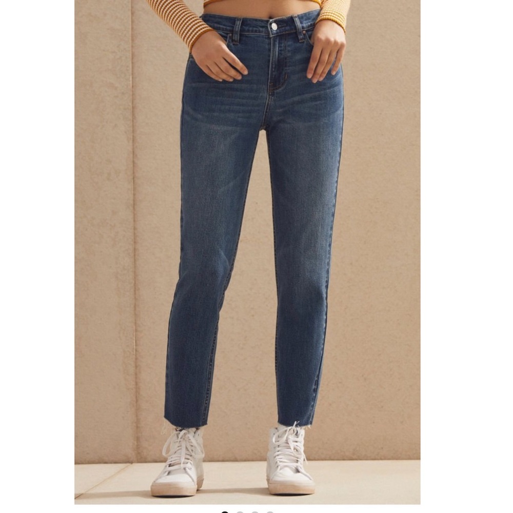 PacSun Mitchell Blue Vintage Icon Mom Jeans